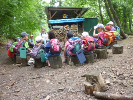 Morgenkreis bei den Waldwichteln: Die Kinder sitzen auf Baumstämmen im Kreis